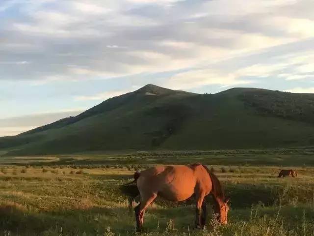 日本高清 日本高清但逻辑清晰