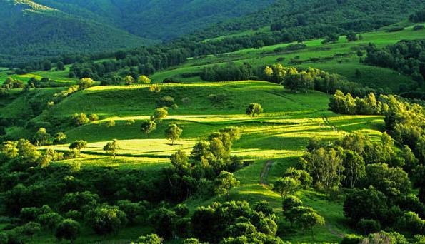 981981.cn 可以将问题详细描述出来