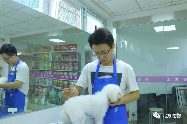 gtv男同网站 我很乐意为你提供帮助