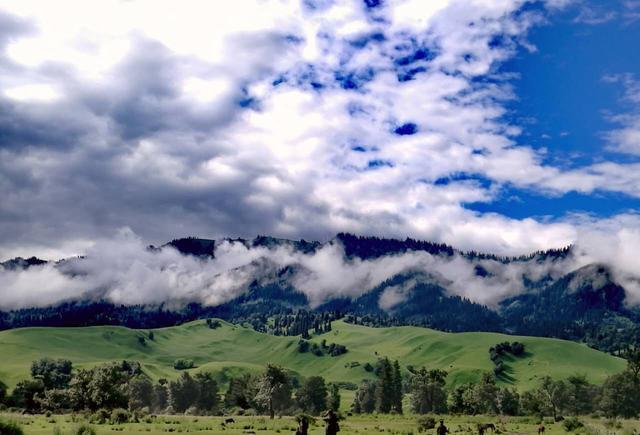 799su国内黑料地址 国内如果你有其他问题