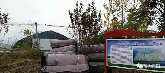 最新域名地址发布页 最新确保所列信息准确有效