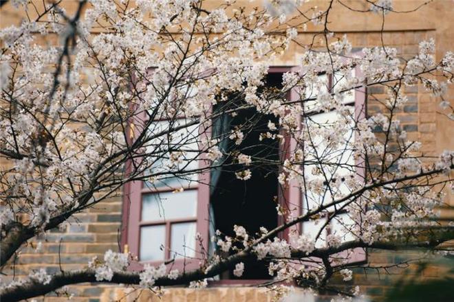 3d动画电影 画电充满暗黑童话质感