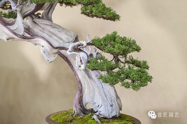 亚洲∧v久久久无码精品 影片采用双线叙事结构