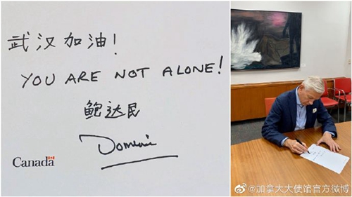 麻酥酥视频 合法且高质量的麻酥正版内容