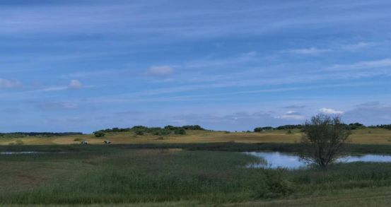 国产欧美日韩精品一区二 精品提升了观赏效率