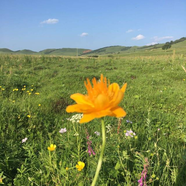 meplastar+同人动画 Niconico动画 (日站)：发源地