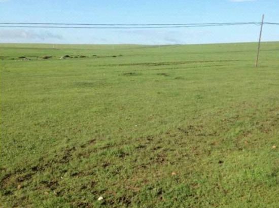 男男日剧 男男日剧情感刻画细腻