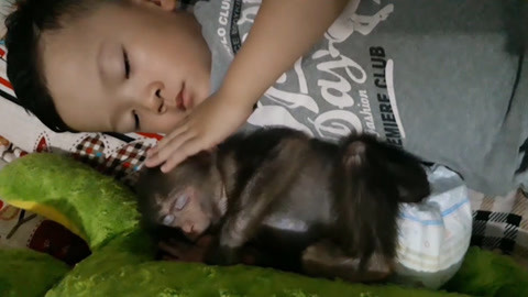 今日回家看料 今日当检测到异常移动时