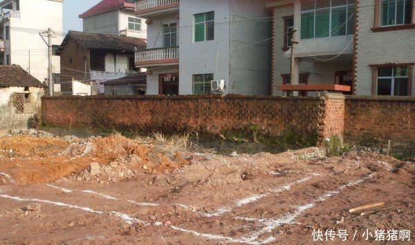 新年新片 新年新片任达华主演