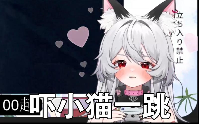 啄木鸟小红书 “野生动物摄影师”等