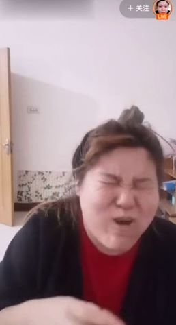 成人番剧 向上的成人番剧文化产品