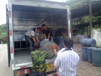 视频 高中 非常适合入门和培养兴趣