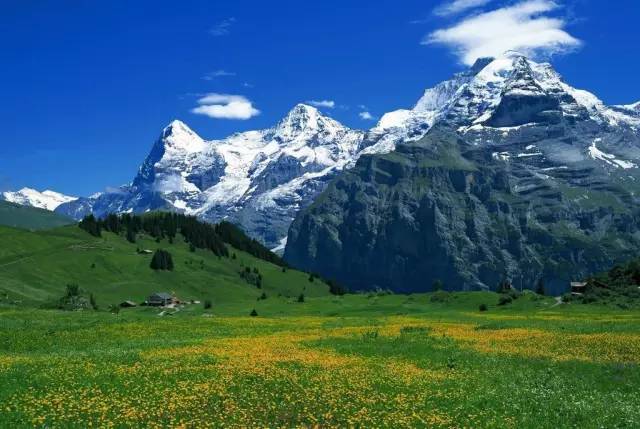 国产精品尹人在线观看 