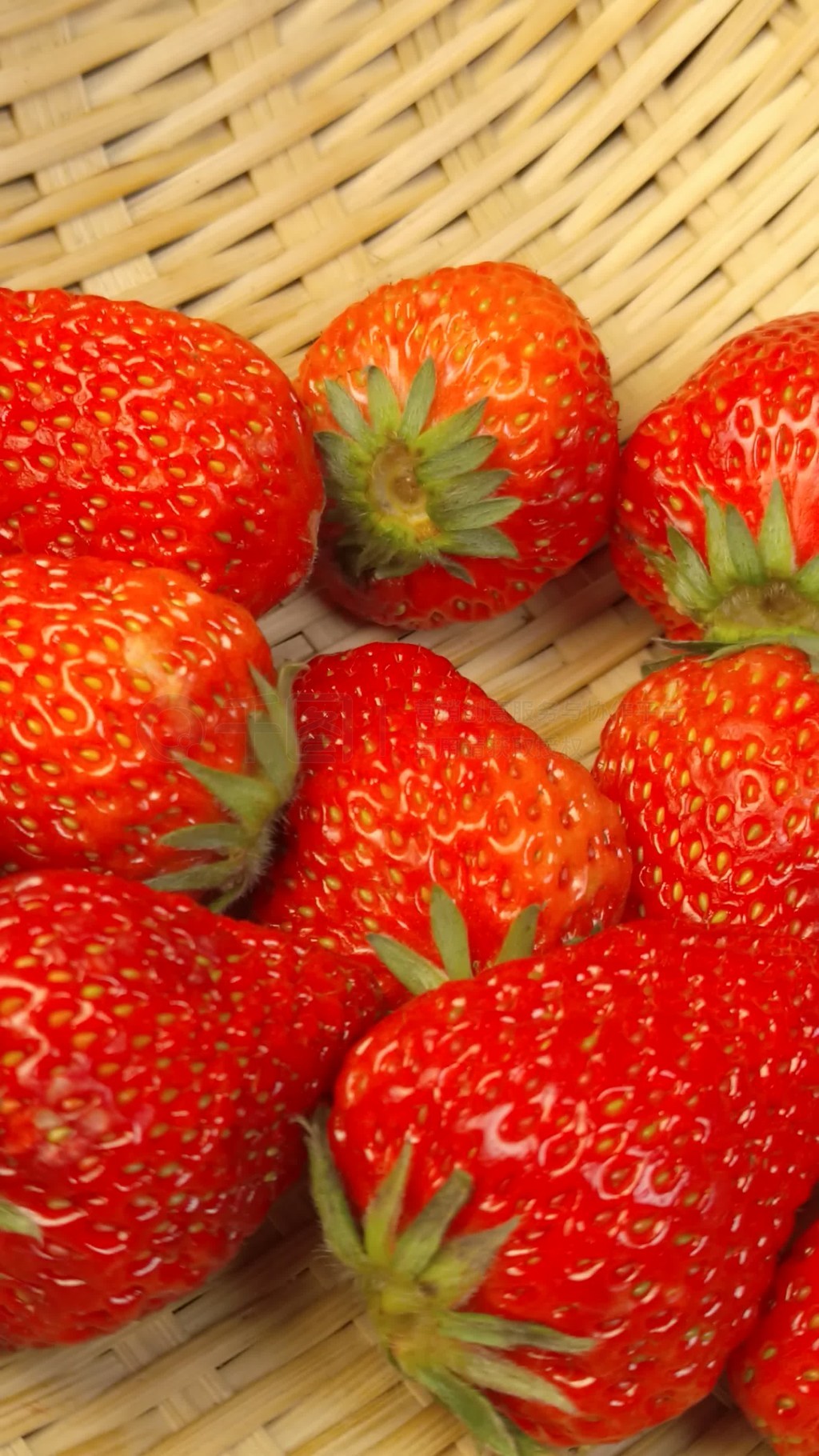 台北娜娜糖心传媒在线 能较快捕捉地区性流行趋势