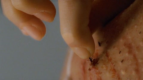 视频le 工具推荐或解决方案