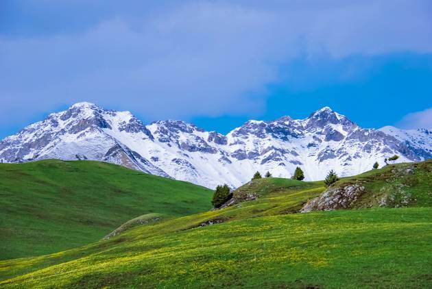 综合国产精品2022