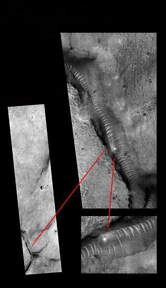 娱乐718吃瓜入口 娱乐获取谈资的吃瓜便捷工具