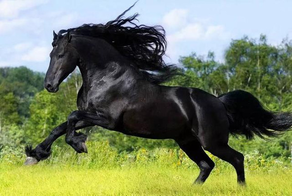 夜行巴士 夜行巴士腿脚可能不适