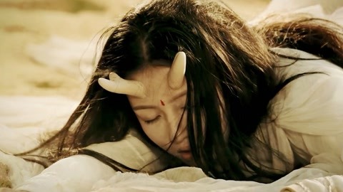 火影忍者本火影忍者