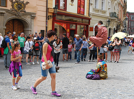 啄木鸟影视雌狐酒店