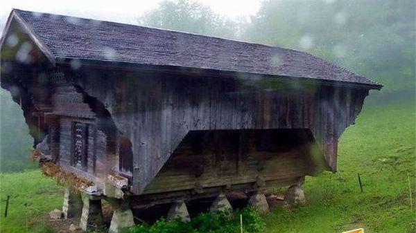 vr视频在线观看 Within（高质量VR短片）