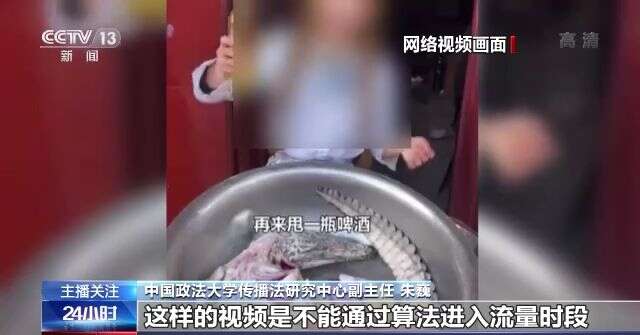 蜜桃视频app下载 