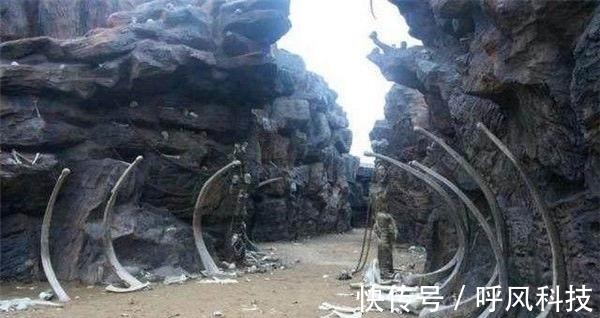 ai火影忍者 ”你更想探讨哪个方向