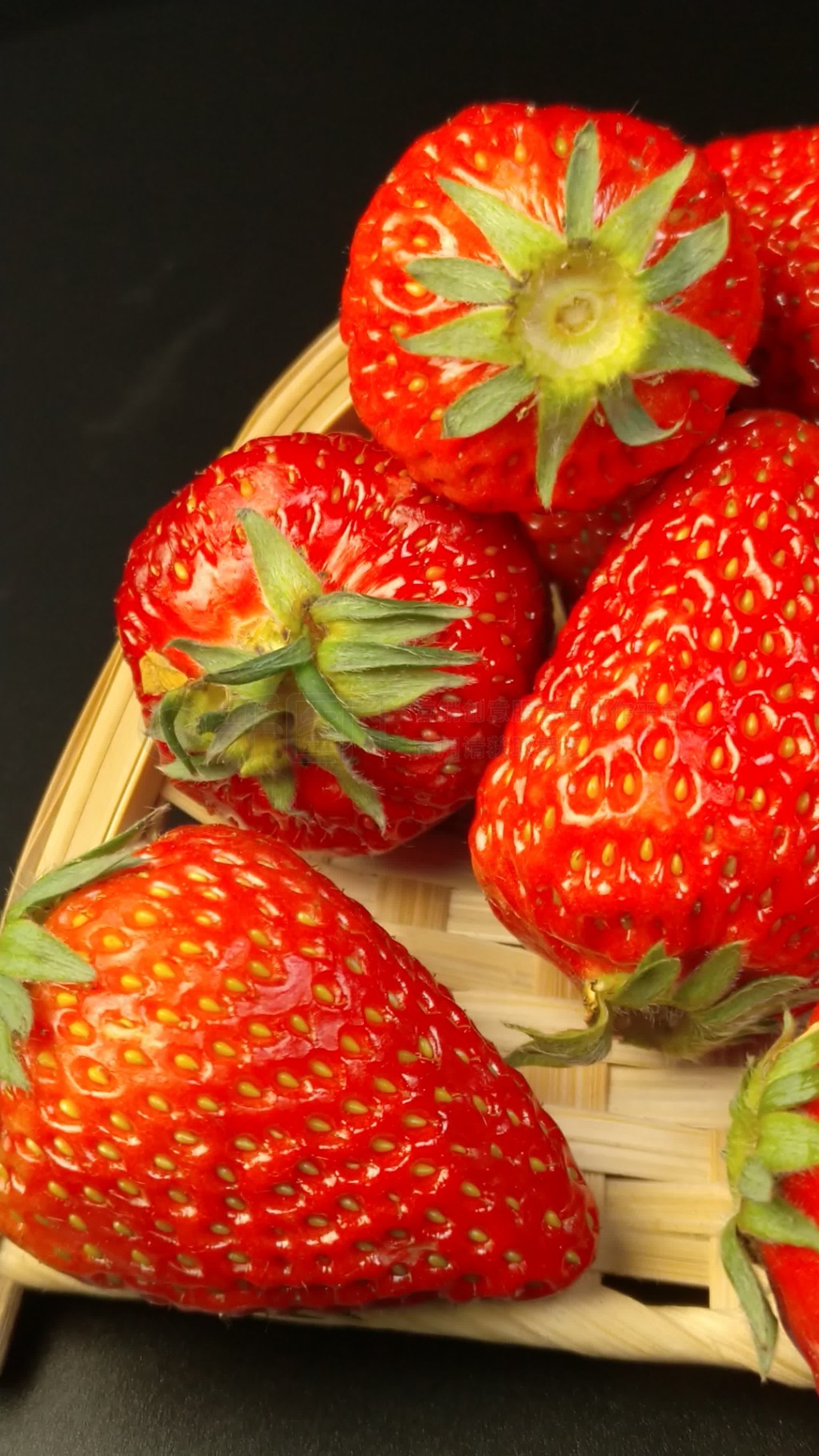 里番动漫魔都资源 魔都资源资源对不起