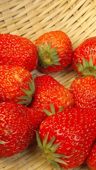 蜜桃视频最新地址