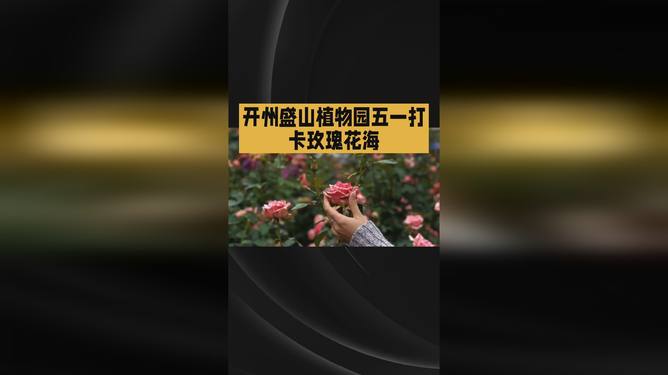 困困-狗 或者需要表情包/图片