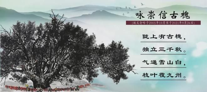 黑料网每日排行