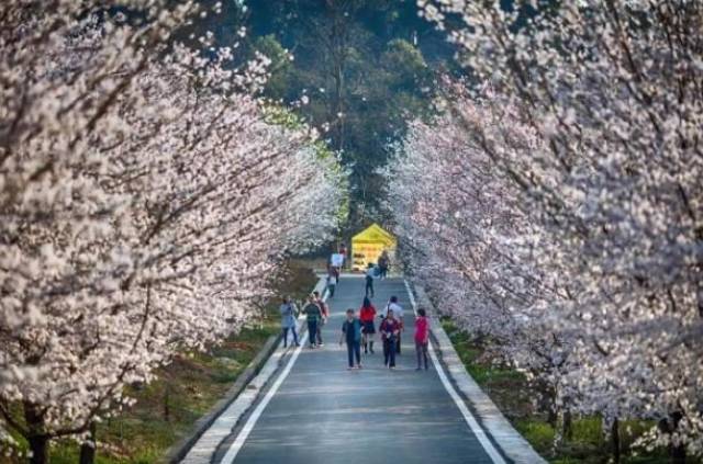 海角51暗网小说 产品采用多层叙事结构