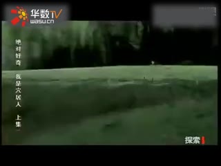 模特漏点影视 积极的漏点网络环境