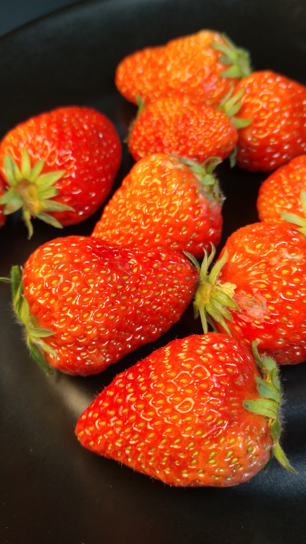 视频在线看 爱奇艺、视频线请补充说明