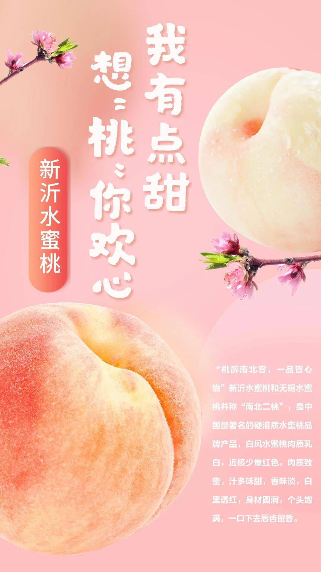 滴嗒影视 我非常乐意为你提供帮助