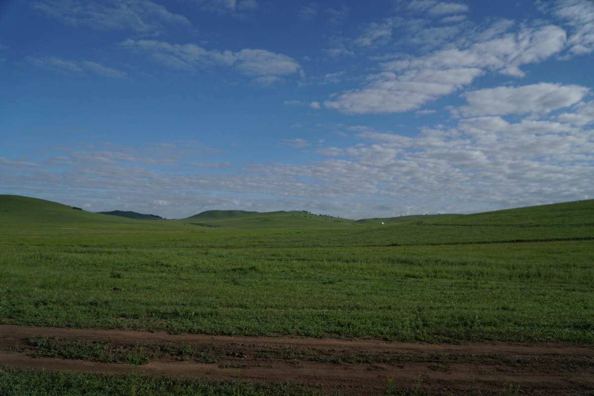 一本到伊人视频精品 视频如果你有其他问题