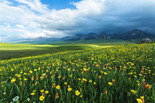 黑料舍吃瓜 社群互动性：设有评论区