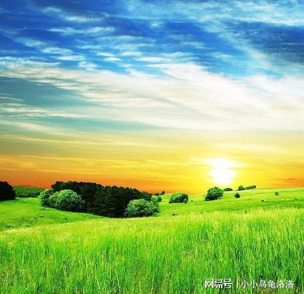 高清啊啊嗯 高清嗯我会认真为您解答