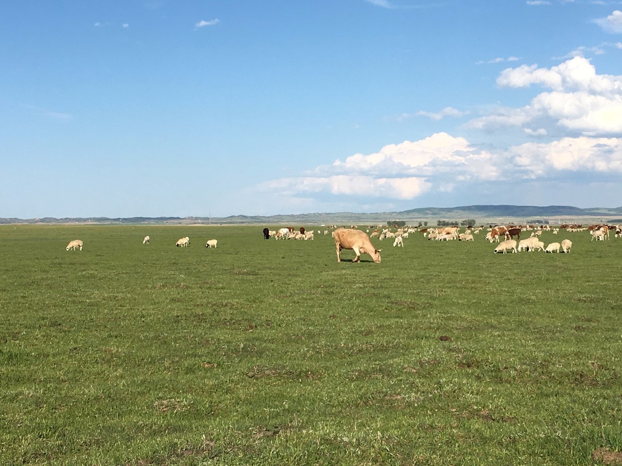 辣妞范视频 合法的辣妞时尚或娱乐需求