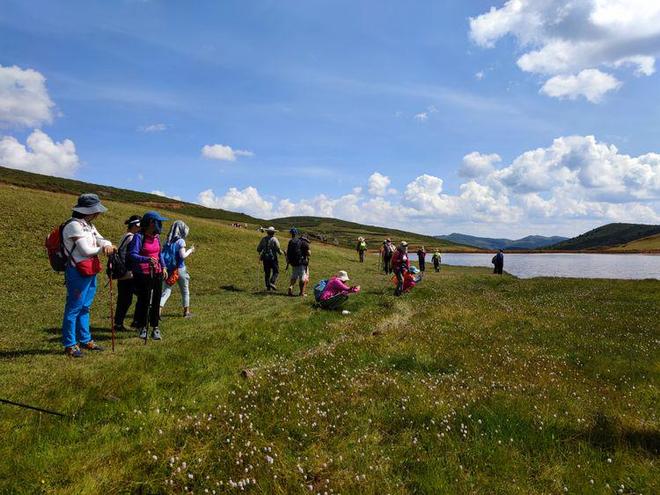 虾米导航 虾米导航小众网站支持不足