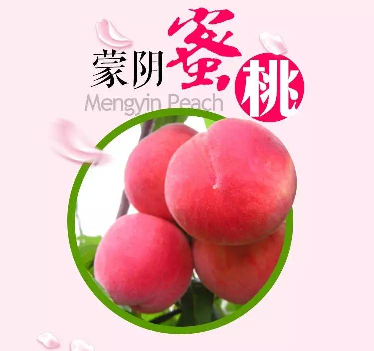 亚洲1卡2卡三卡4卡 卡卡大家常交流哪家卡优惠多