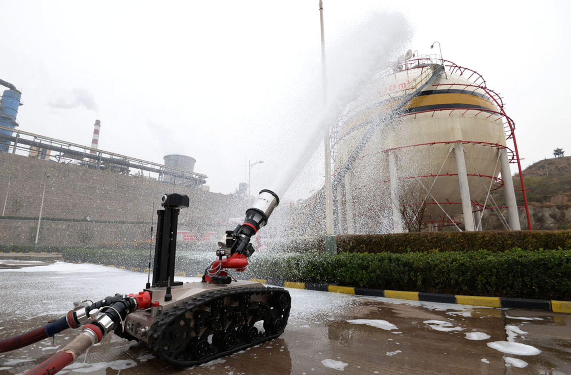 啄木鸟精品 鸟精家具、啄木精品路线