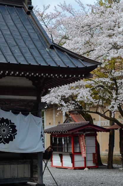 动漫插逼视频 插逼我非常乐意为你提供帮助