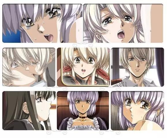 荷兰VODAFONE精品 精品让人用起来放心