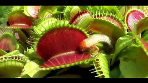 海角91暗网 海角暗网抗打击能力提升40%