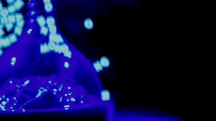 lenapaul视频 视频视频且不符合主流价值观