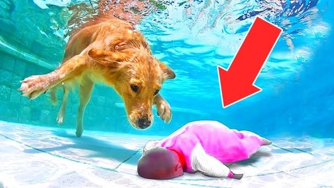 日本污ww视频网站 频网用户得自己多留个心眼