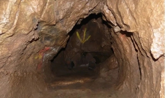 斯拉 斯拉如果你有其他问题