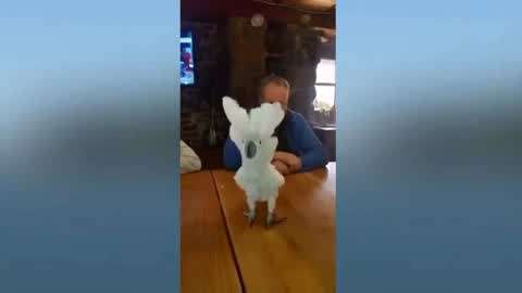 里番库 我很乐意为你提供帮助