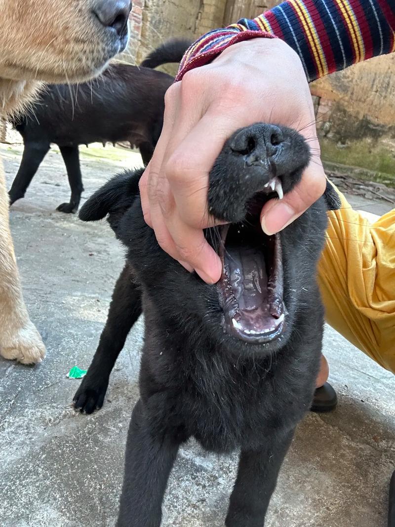 91大事件吃瓜网 使用门槛低:无需注册